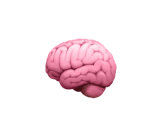 Theory Test Confidence Guide